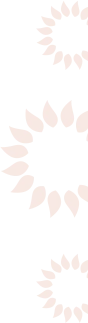 transparentsec